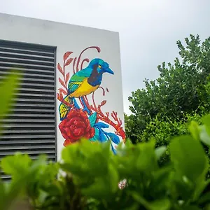 Apartment Departamentos Internazionale, Merida